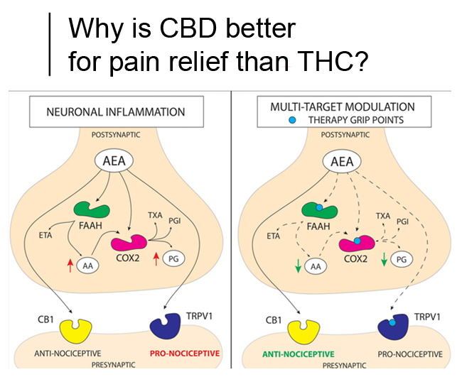 CBD-THC