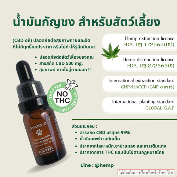 วิธีทำน้ำมันซีบีดี How to Make CBD oil