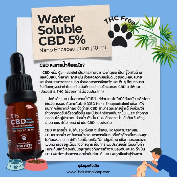 Water soluble CBD (ซีบีดีชนิดละลายน้ำสำหรับเครื่องดื่ม)