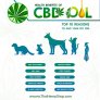 Pet CBD oil (น้ำมันกัญชาสุนัข)