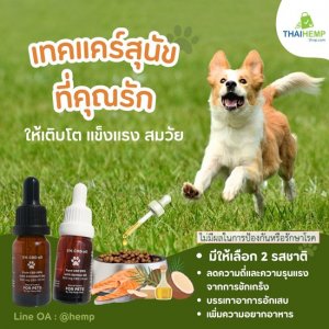 Pets CBD oil (น้ำมันกัญชาแท้ สุนัข, แมว)