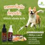 Pets CBD oil (น้ำมันกัญชาแท้ สุนัข, แมว)