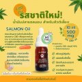 Pet CBD Salmon Oil (น้ำมันปลาแซลมอนสูตรกัญชง สัตว์เลี้ยง, สุนัข, แมว)