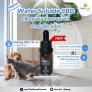 Pet Water Soluble CBD (ซีบีดีชนิดละลายน้ำสำหรับสัตว์เลี้ยง เช่น สุนัข แมว นก)